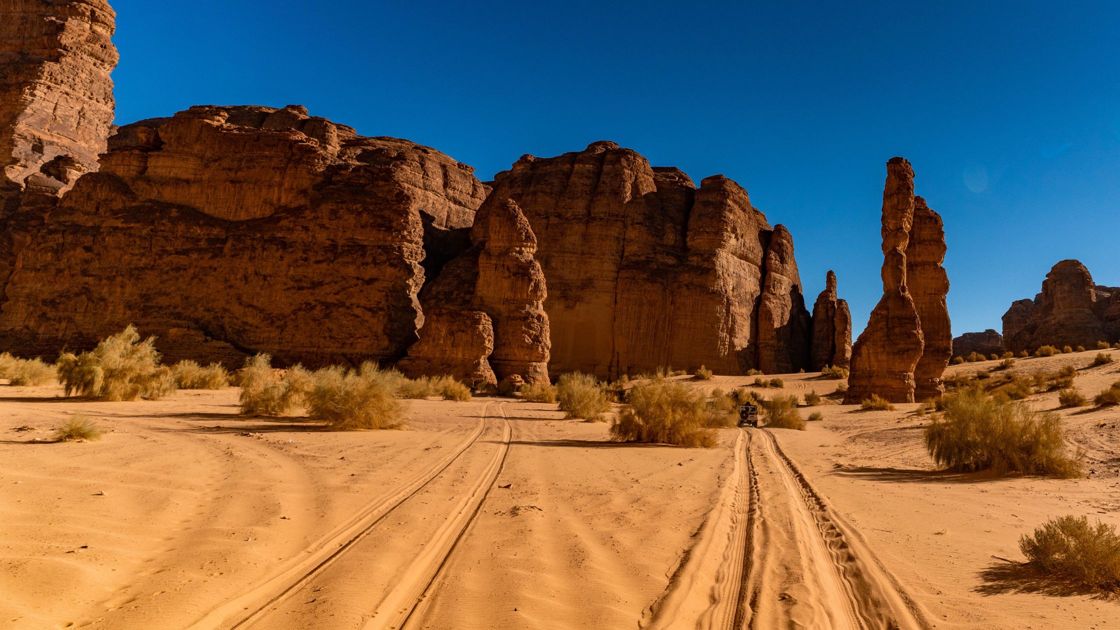 بكجات سياحية